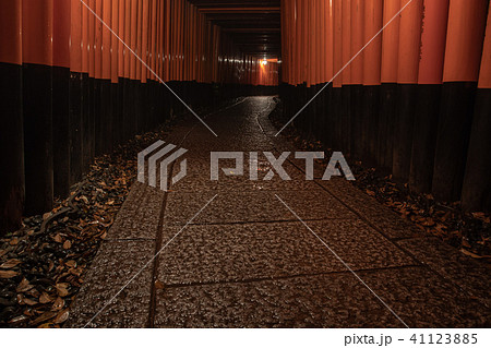 京都市伏見区稲荷大社で撮影した千本鳥居及び境内の風景 41123885