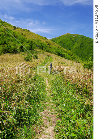 三瓶山、風越からの景色（子三瓶・男三瓶）2018年5月 41124509