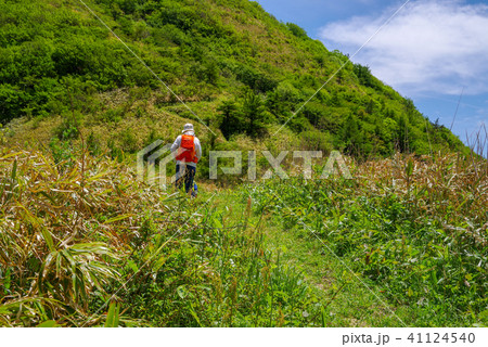 三瓶山、風越えから孫三瓶への道中（2018年５月） 41124540