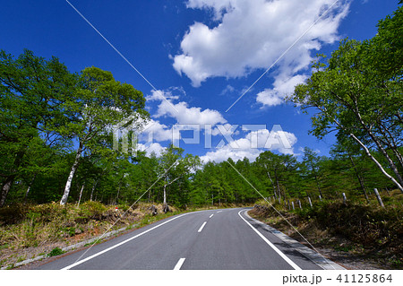 高原の道 41125864