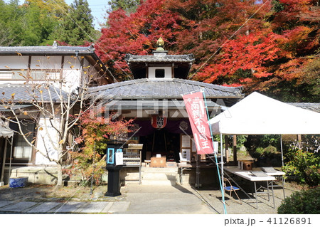 京都 秋の山科聖天 京都 秋の山科聖天 41126891