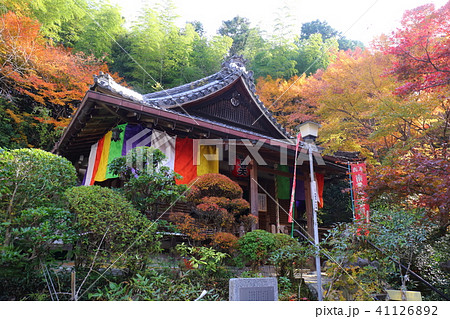 京都 秋の山科聖天 京都 秋の山科聖天 41126892