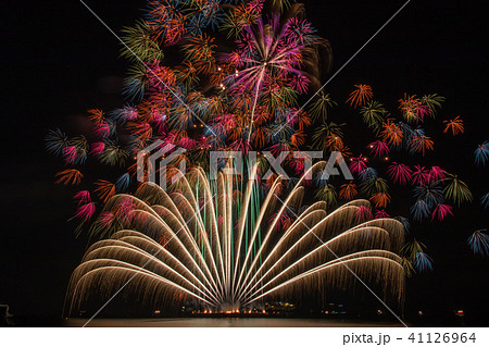 千輪菊の花火の写真素材 千輪菊の花火の写真素材