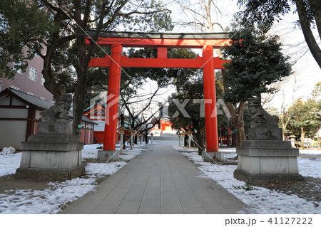 花園神社　鳥居 41127222