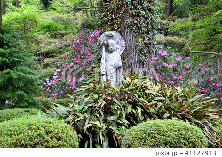 三千院の春の庭園 三千院の春の庭園 41127913