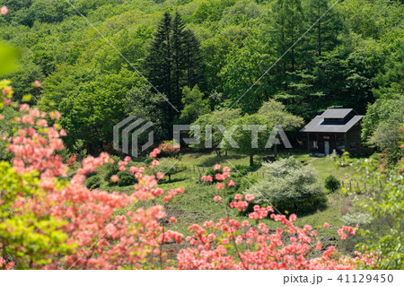 栃木県鹿沼市 古峰ヶ原高原(5月) 栃木県鹿沼市 古峰ヶ原高原(5月) 41129450