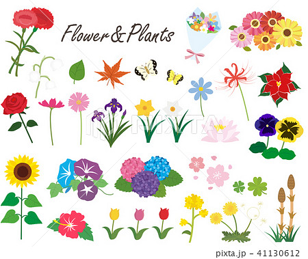 季節の花と植物のイラスト素材のイラスト素材