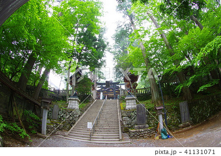 秩父の三峯神社 41131071