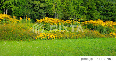 Summer park with beautiful flower bed. Wide photo. 41131961