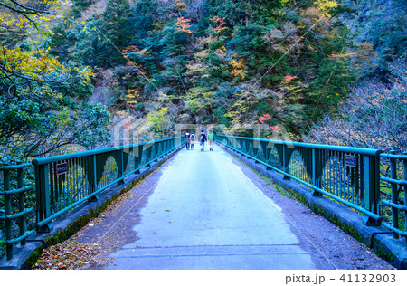 【静岡県】晩秋の寸又峡散策　飛龍橋 41132903