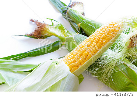 トウモロコシ、とうもろこし、ゴールドラッシュ 41133775