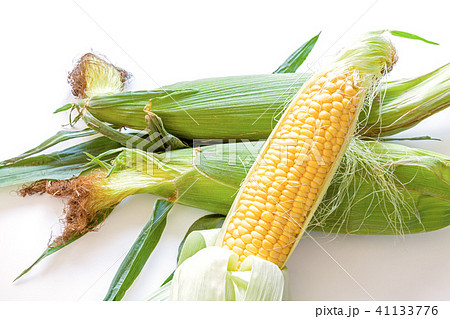 トウモロコシ、とうもろこし、ゴールドラッシュ 41133776