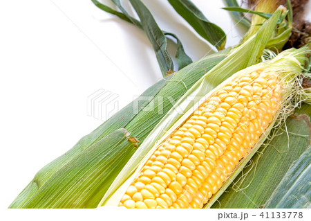 トウモロコシ、とうもろこし、ゴールドラッシュ 41133778