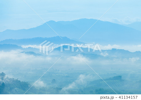 fog cover the trees in the Phang Nga valley fog cover the trees in the Phang Nga valley 41134157
