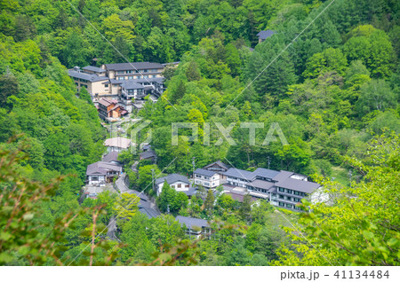 緑の中の白骨温泉 緑の中の白骨温泉 41134484