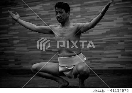 Sumo wrestling 41134676