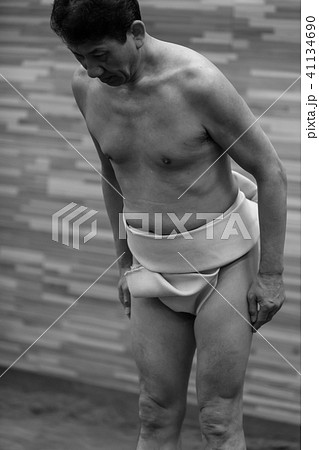 Sumo wrestling 41134690