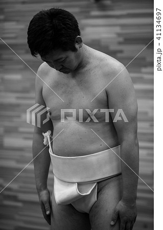 Sumo wrestling Sumo wrestling 41134697