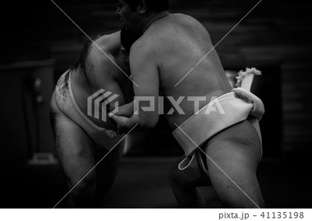 Sumo wrestling 41135198