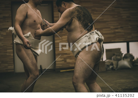 Sumo wrestling Sumo wrestling 41135202