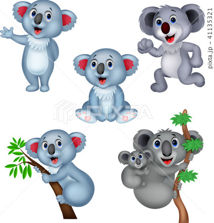 Cartoon koala collection set Cartoon koala collection set 41135321