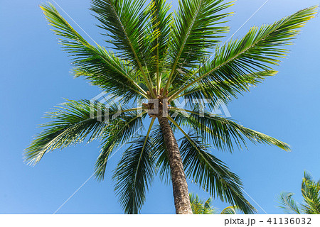 Beautiful landscapes abstract texture view forms 41136032