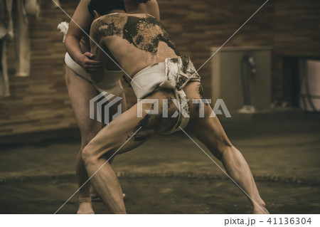 Sumo wrestling 41136304