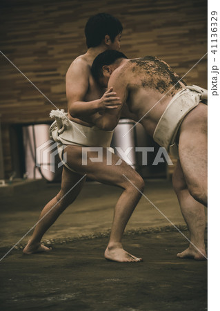 Sumo wrestling 41136329