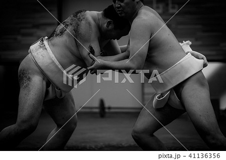 Sumo wrestling 41136356
