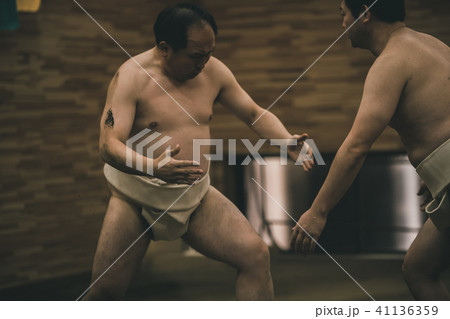Sumo wrestling Sumo wrestling 41136359