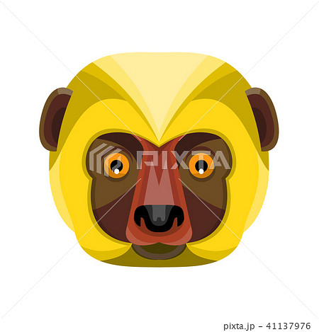 Diademed Sifaka Lemur Head Flat Icon Diademed Sifaka Lemur Head Flat Icon 41137976
