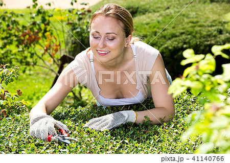 Woman working with green bush using horticultural tools 41140766