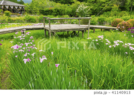 滝谷花菖蒲園 滝谷花菖蒲園 41140913