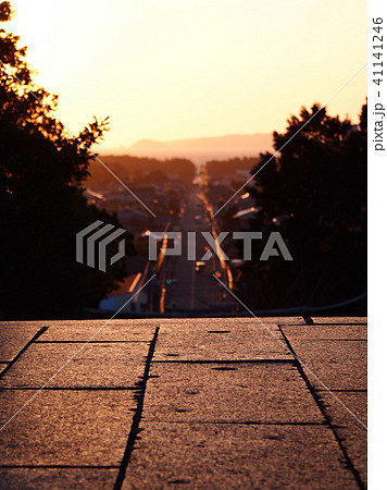 光の道 光の道 41141246