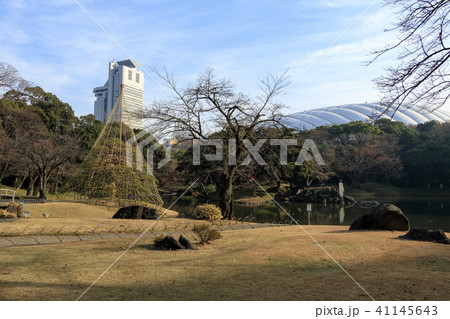 庭園風景(東京都、後楽園、秋) 庭園風景(東京都、後楽園、秋) 41145643