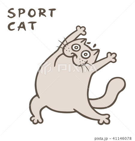 Sport with cute thick cat. Vector illustration Sport with cute thick cat. Vector illustration 41146078