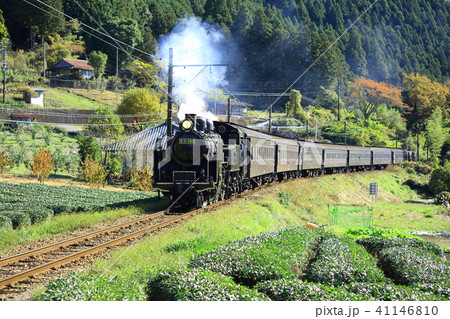 大井川鐵道　SL列車 41146810