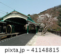 八瀬の桜 41148815