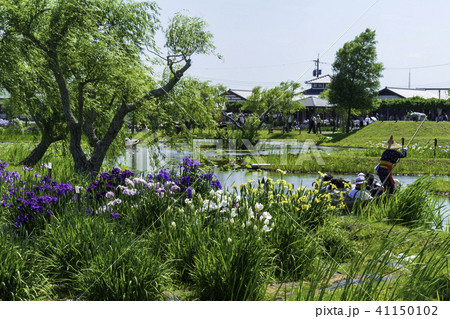 水郷佐原あやめパーク 水郷佐原あやめパーク 41150102