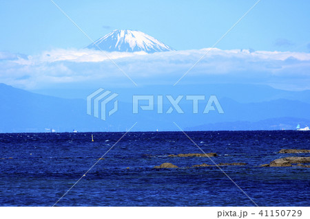水辺風景（神奈川県、長井、初夏） 41150729
