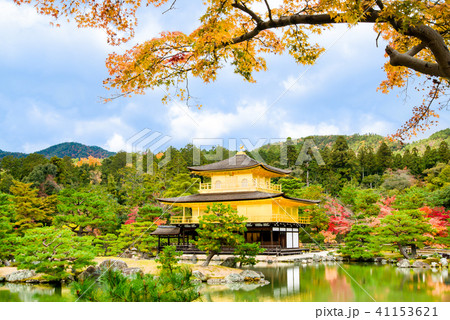 京都 金閣寺 紅葉の写真素材 [41153621] - PIXTA