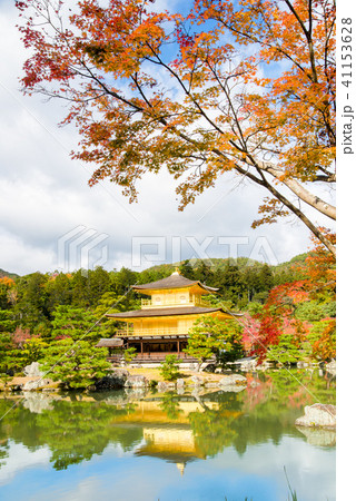 京都 金閣寺 紅葉の写真素材 [41153628] - PIXTA