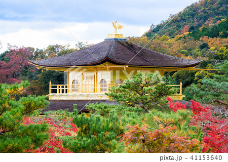 京都 金閣寺 紅葉の見返り金閣の写真素材 [41153640] - PIXTA