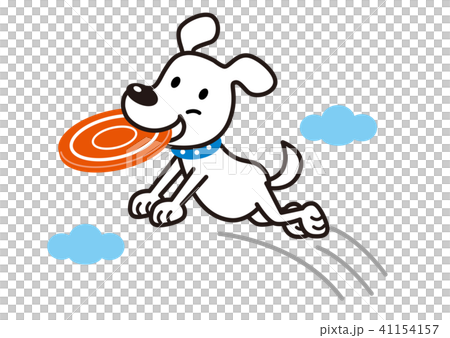 犬 白犬 フリスビーのイラスト素材 41154157 Pixta
