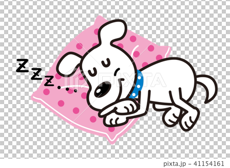 犬　白犬　昼寝　いびき 41154161