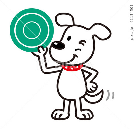 犬 白犬 フリスビー 犬 白犬 フリスビー 41154501