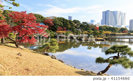 庭園風景（東京都、浜離宮、秋） 41154660