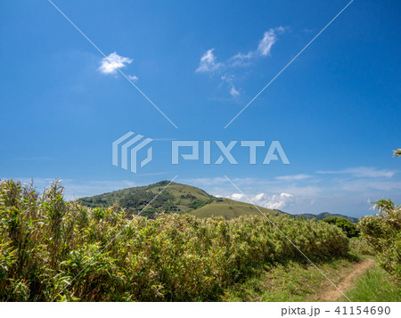 【伊豆半島】快晴・青空・初夏の高原風景【伊豆山稜線歩道】 【伊豆半島】快晴・青空・初夏の高原風景【伊豆山稜線歩道】 41154690