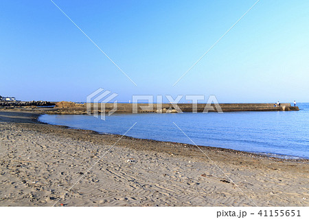 水辺風景（神奈川県、葉山町、春） 41155651