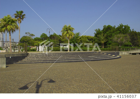 二色の浜公園 市民の森 大阪府貝塚市二色の写真素材